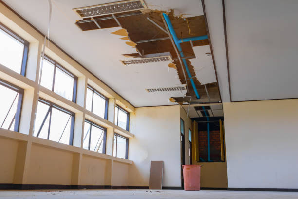 Best Water damage restoration near me  in Port Vue, PA