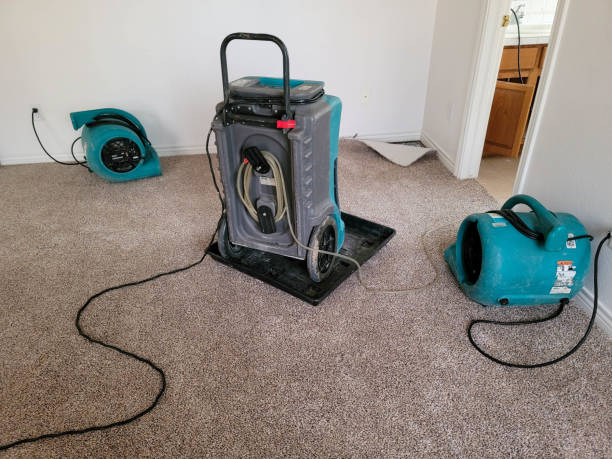 Best Flood damage cleanup  in Port Vue, PA