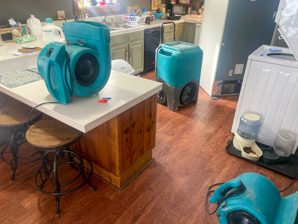 Best Ceiling water damage repair  in Port Vue, PA