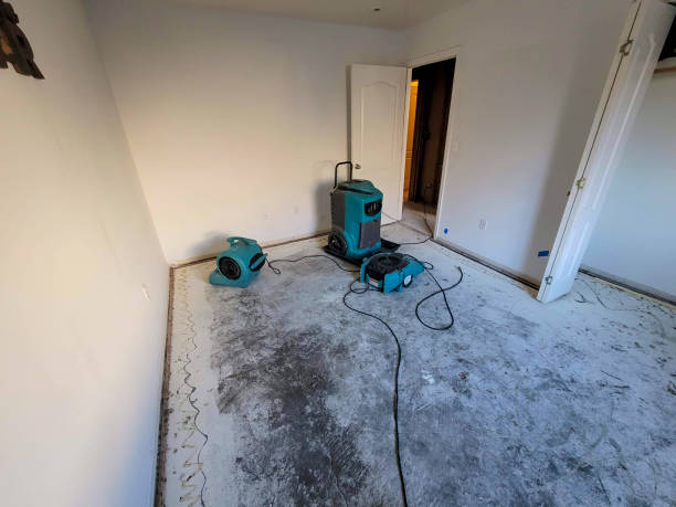 Best Water damage restoration near me  in Port Vue, PA