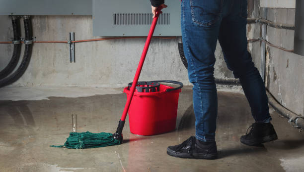 Best Water damage restoration near me  in Port Vue, PA