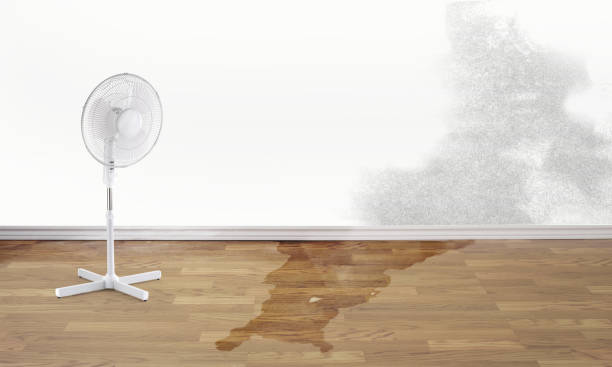 Best Carpet water damage restoration  in Port Vue, PA