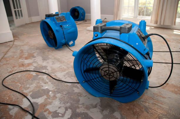 Best Local water damage restoration  in Port Vue, PA
