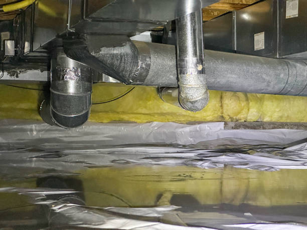 Best Sewage cleanup and water damage restoration  in Port Vue, PA