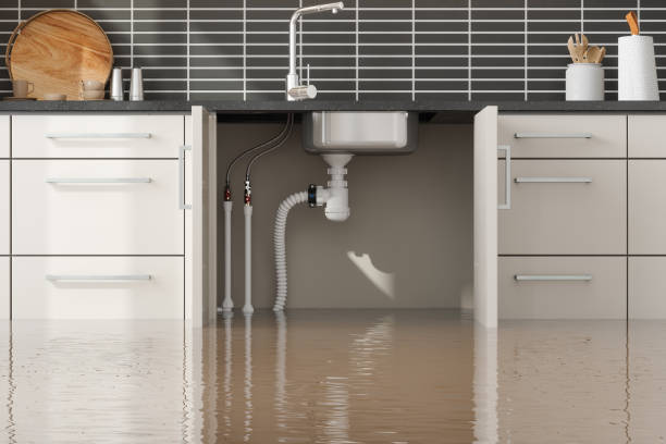 Best Professional water damage repair  in Port Vue, PA