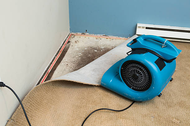 Best Water damage contractors near me  in Port Vue, PA